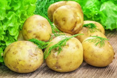 patates dereotu ve marul yaprakları