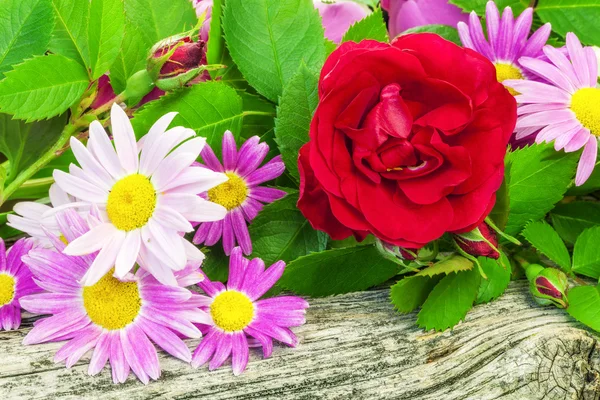 Rose avec une variété de fleurs sur planche de bois — Photo