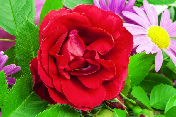 Τριαντάφυλλο με μια ποικιλία από λουλούδια και πράσινα φύλλα — Φωτογραφία Αρχείου