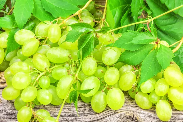 Green grapes with leaves — Stock Photo, Image