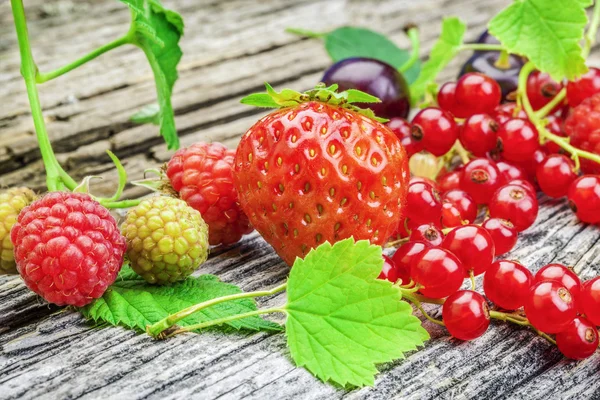 Strawberry,raspberry,cherry and red currant with leaves — Stock Photo, Image