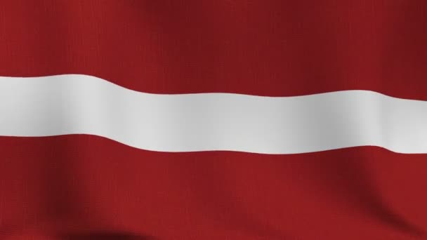 Latvian flag — Stock Video