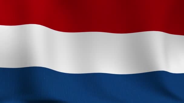 Países Bajos Bandera — Vídeo de stock