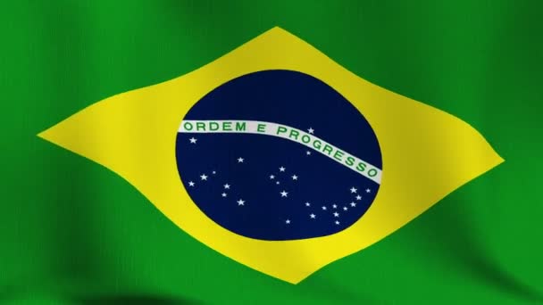 Bandera de Brasil — Vídeos de Stock