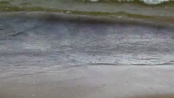Vln lapování na břehu — Stock video