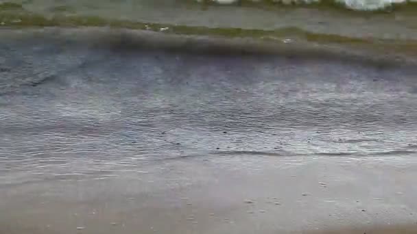 Vagues sur le rivage 