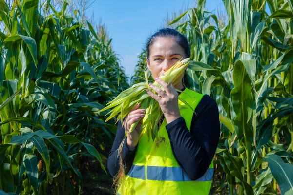 Vrouwelijke Landbouwer Die Onrijpe Groene Maïs Onderzoekt Ruikt — Stockfoto