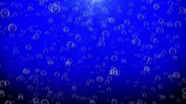 Textura bolhas azuis — Vídeo de Stock