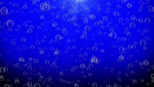 Blauwe bubbels textuur — Stockvideo