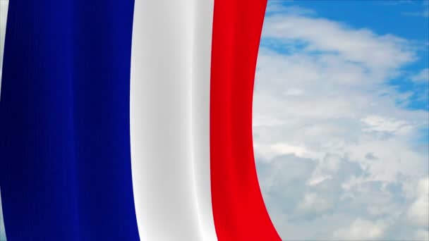 France Flag — Stock Video