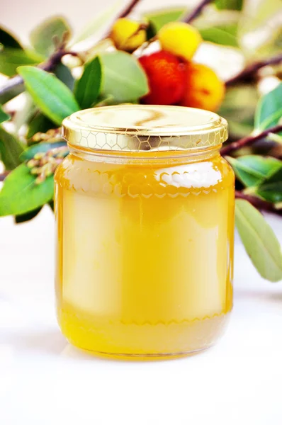 Arbutus honey — Stock Photo, Image