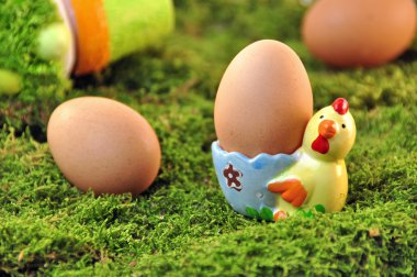 Paskalya - eggcup tavuk yumurta