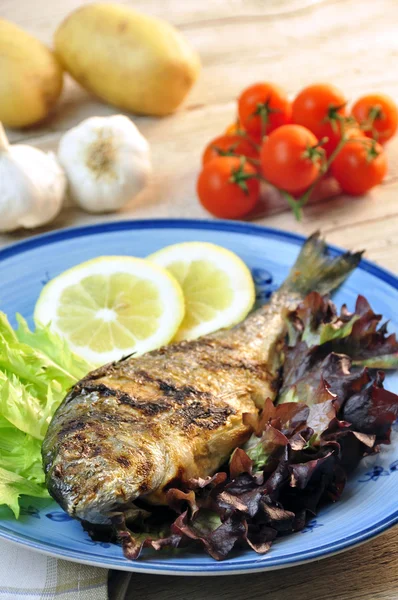 Roasted sea bream with salad — Stock Photo, Image