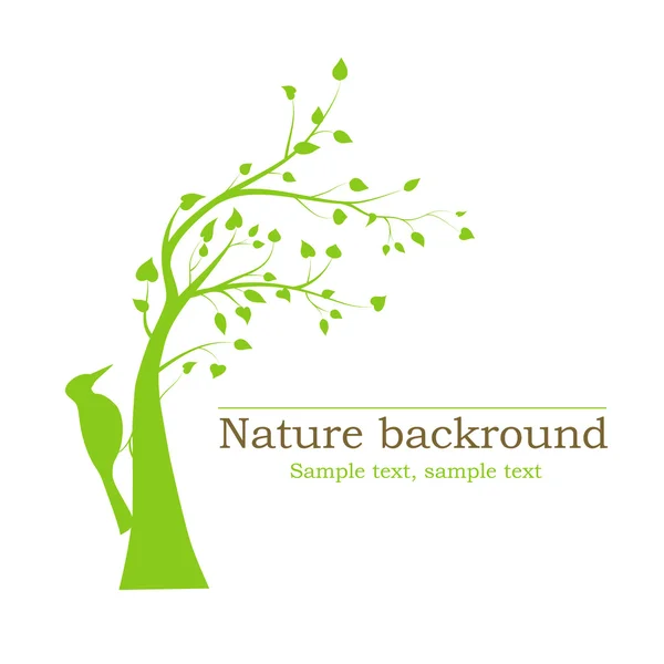 Ağaçtaki ağaçkakan