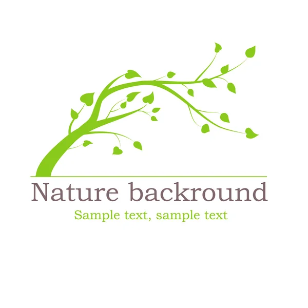 Yeşil ağaç dalı yaprakları ile