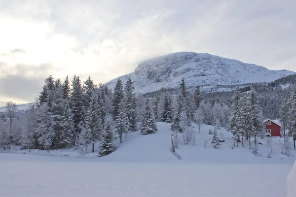 Norveç dağlarında güzel bir kış sabahı, Hemsedal, Norveç yakınlarında karla kaplı çam ağacı, açık doğa, İskandinav yaşam tarzı, yatay duvar kağıdı, takvim, poster, duvar bezi