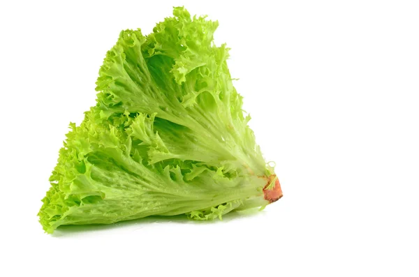 Beyaz arkaplanda marul yaprakları