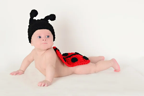güzel bebek 6 ay örgü elbise Tanrı ladybugs