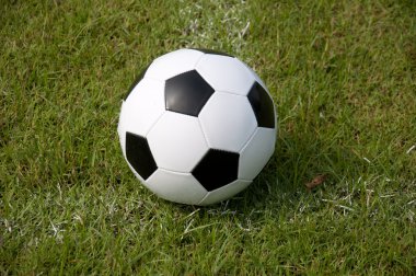 alan ve satır üzerinde topu