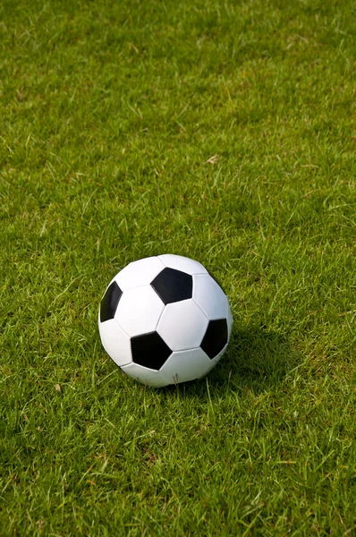 フィールド上のボール — ストック写真