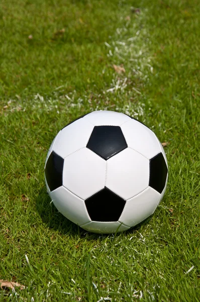 Ball on the field — Stock Photo, Image