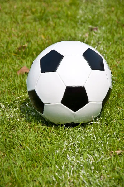 alan ve satır üzerinde topu