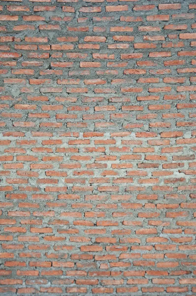 Nueva pared de ladrillo — Foto de Stock