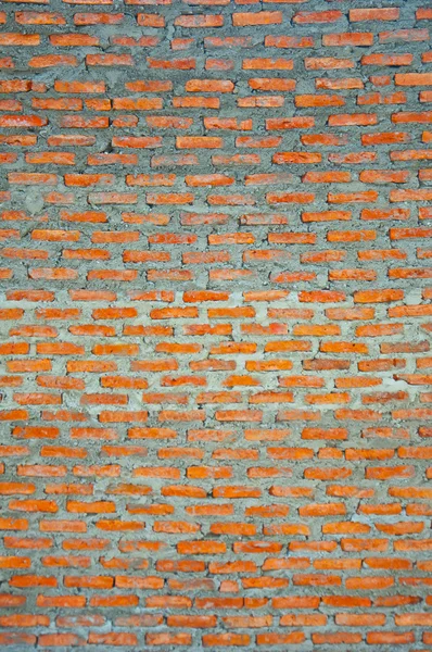 New brick wall — Stock Photo, Image