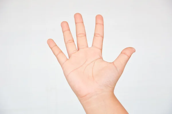 Fünf Finger — Stockfoto