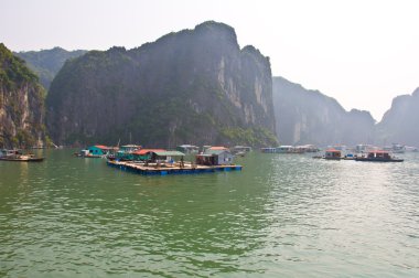 Halong Körfezi