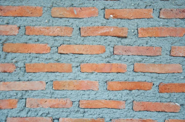 Nouveau mur de briques — Photo