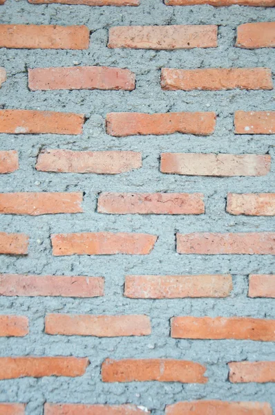 New brickwall — Stock Photo, Image