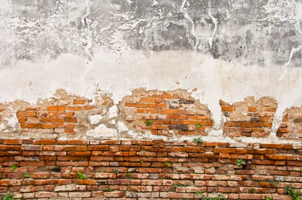 Alte rote Ziegelmauer — Stockfoto