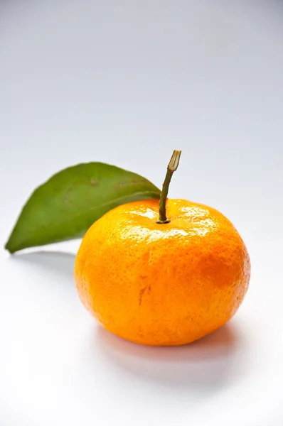 Orange — Stockfoto