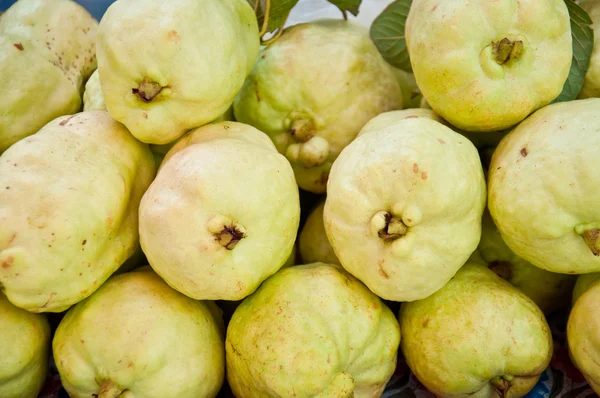 Taze yeşil guava — Stok fotoğraf