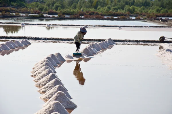 Agricultor de sal — Fotografia de Stock