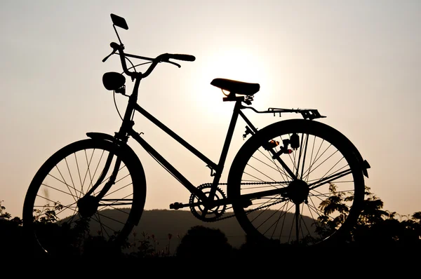 Vintage Bisiklet — Stok fotoğraf
