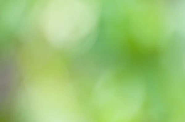 Defocus di sfondo verde — Foto Stock