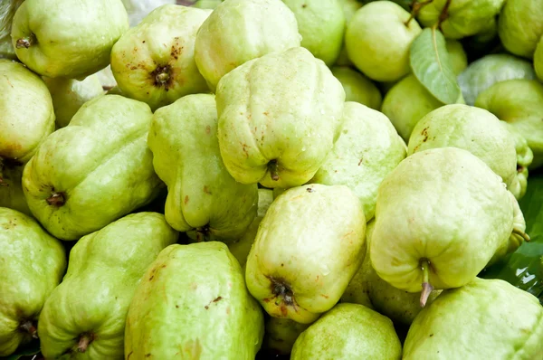 Guayaba verde fresca — Foto de Stock