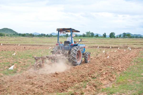 Tracteur sur le terrain — Photo