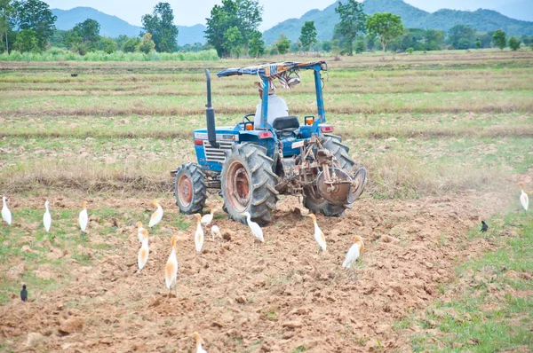 Traktor auf dem Feld — Stockfoto