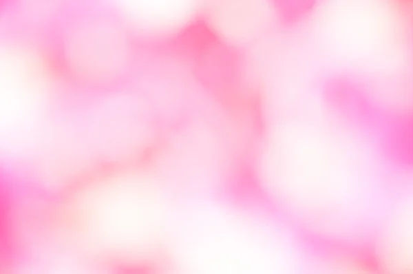 Дефокус рожевої орхідеї — стокове фото