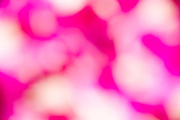 Defocus roze orchidee — Stockfoto