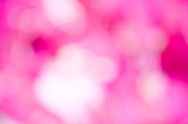 Ослабление розовой орхидеи — стоковое фото