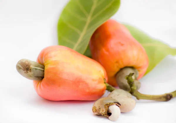 Cashewnut — Stok fotoğraf