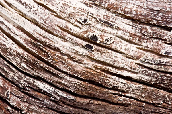 Madera seca de árbol — Foto de Stock