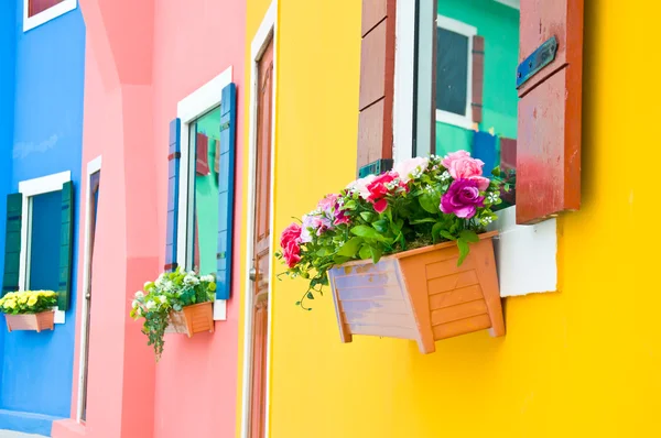 Colorful of flower on window — Stock Photo, Image