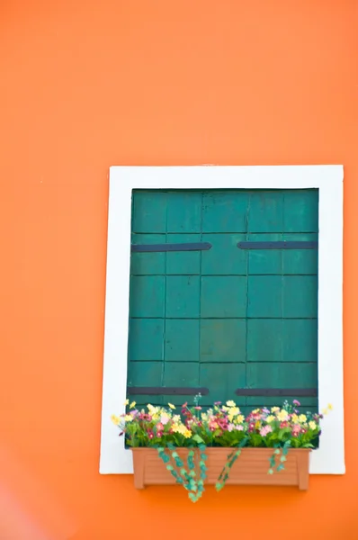 Grünes Fenster — Stockfoto