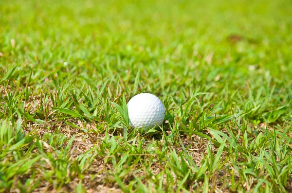 Vecchia palla da golf — Foto Stock