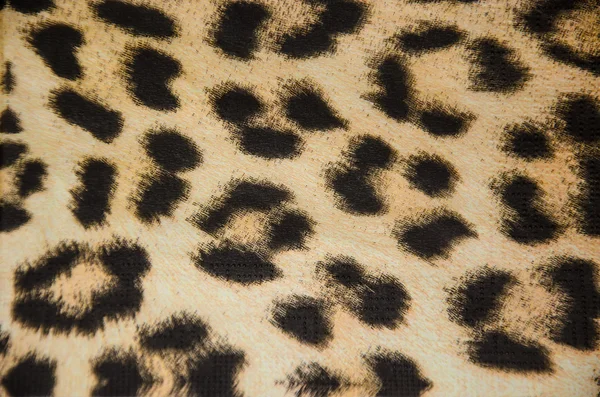 Fabric tiger skin design